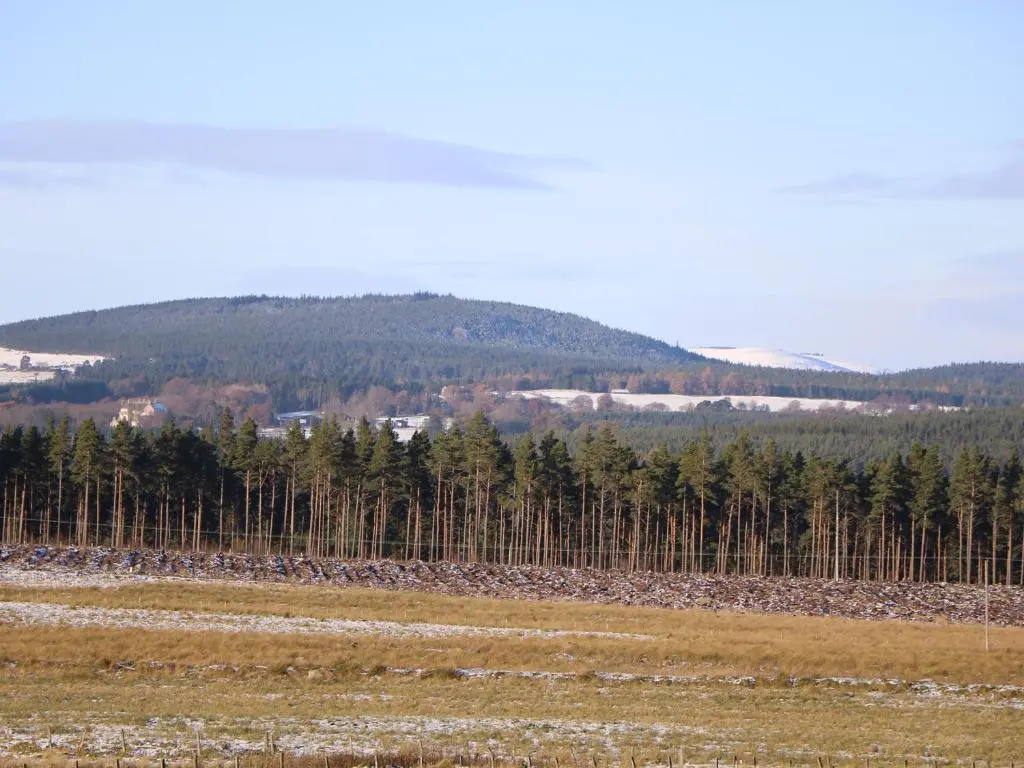 a field with trees and a mountain in the background at Corriemhor Beag in Cromdale