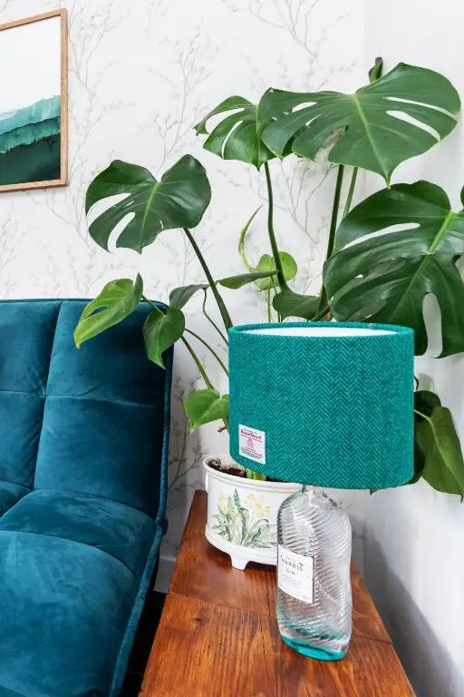 a plant sitting on a table next to a blue couch at Riverside Cottage with wood fired hot tub in Cairngorms in Ballater