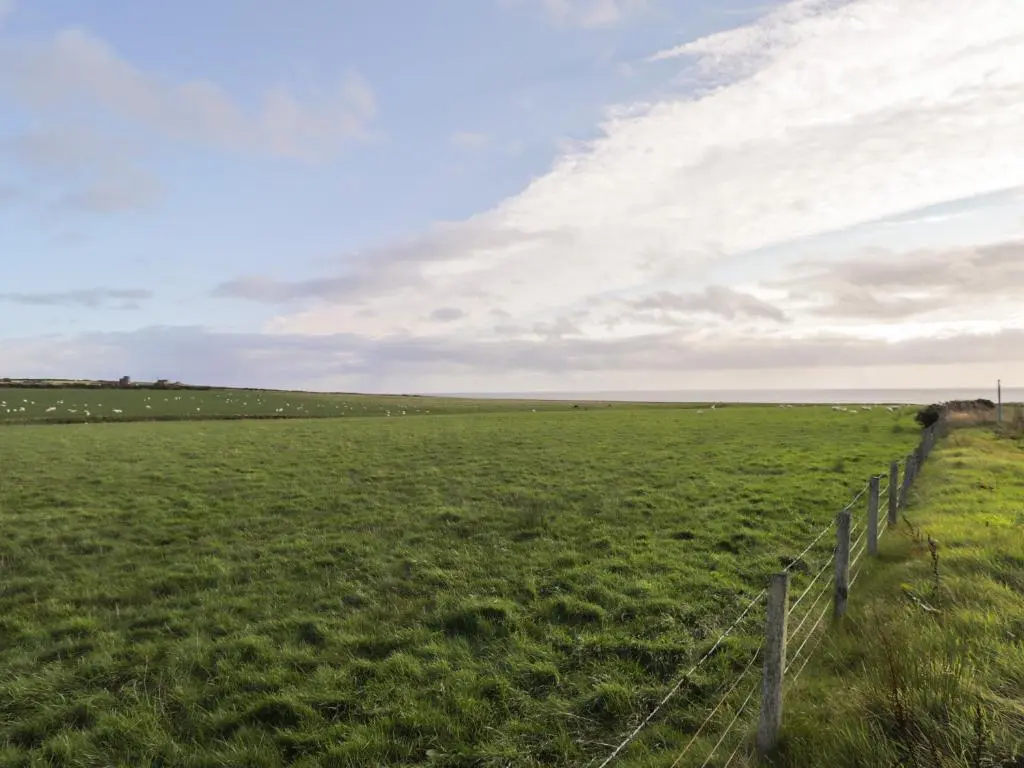 a fence in a field with sheep in the distance at Rose Cottage in Lybster