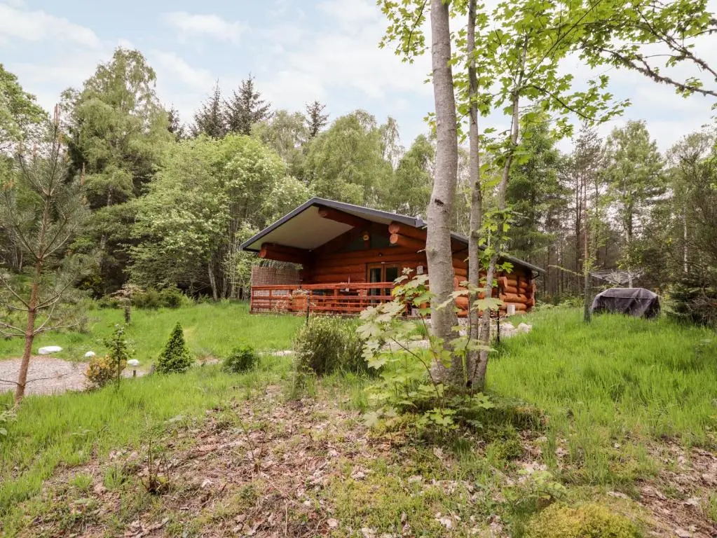 a log cabin in the woods with a tree at Heron Lodge in Inverness