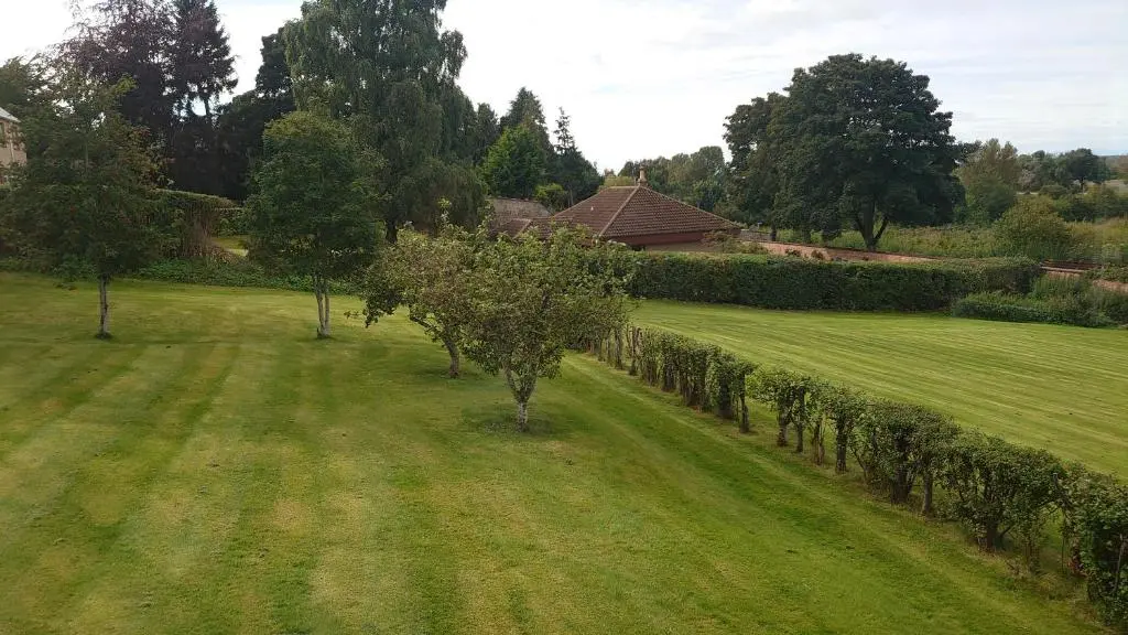 a row of trees in a field of grass at Ramnee Hotel in Forres