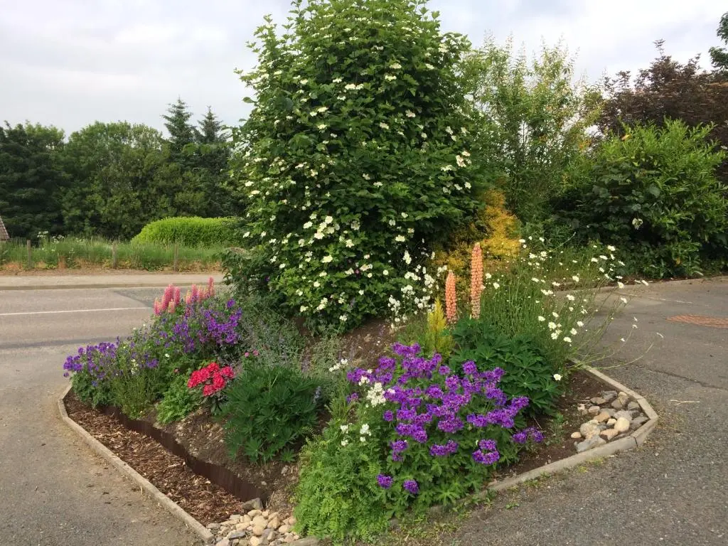 a garden with flowers on the side of a road at Deveron Lodge B&B in Turriff