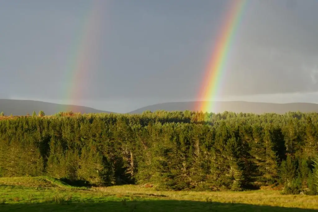 a rainbow in the sky over a forest at The Den , Sengera in Inverness