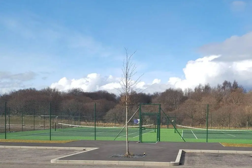 a small tree in the middle of a tennis court at Olavat Cottage detached property with parking in Inverness