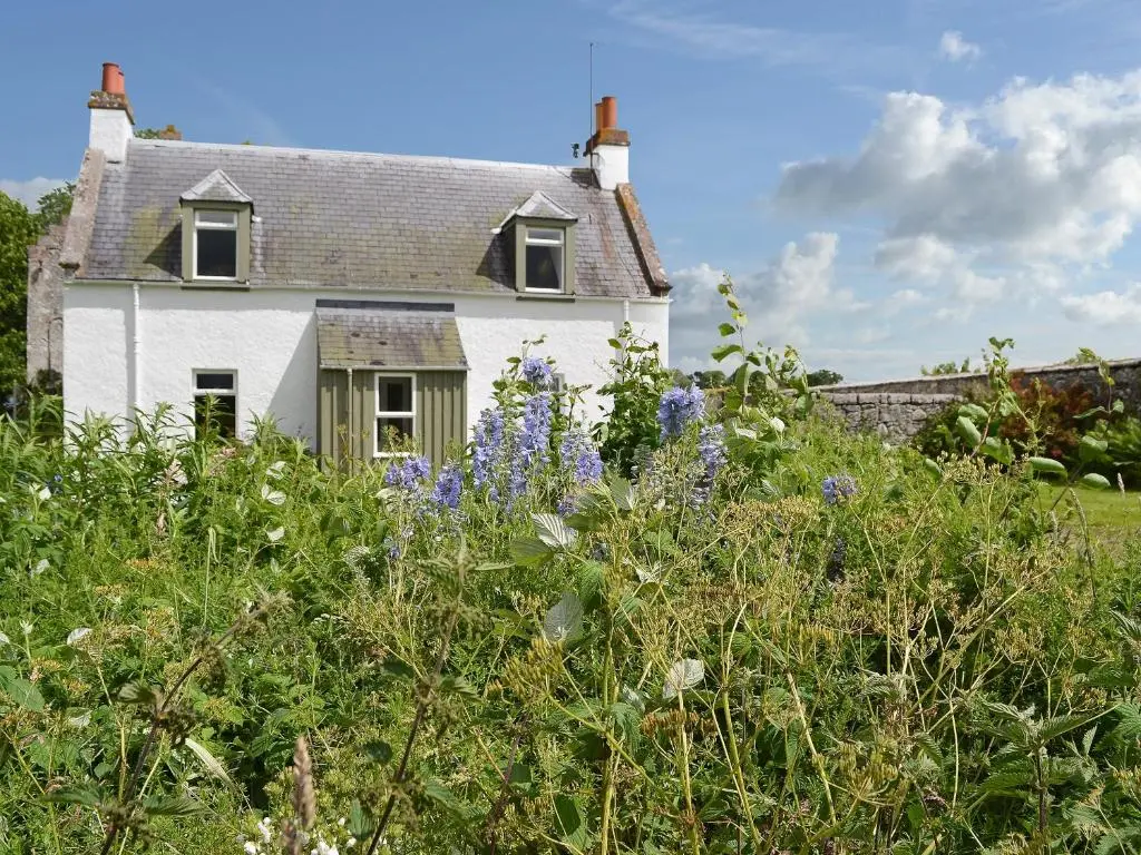 a white house with flowers in front of it at Glebe Cottage in Urray