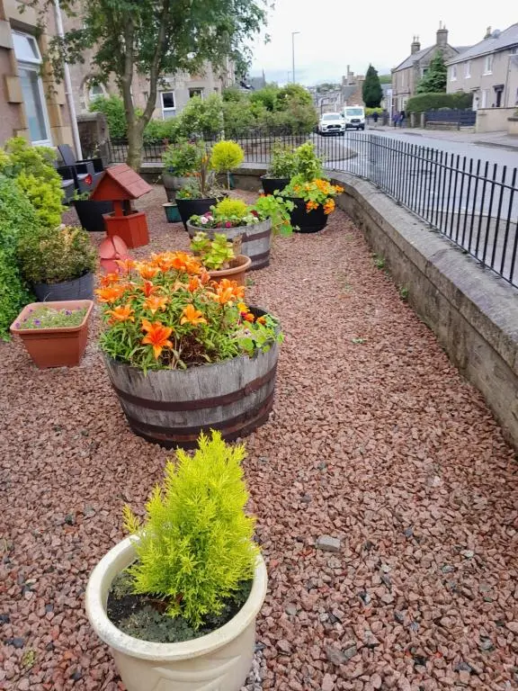 a row of pots filled with plants on a sidewalk at Fairfield Townhouse Guest House in Inverness