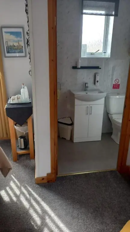 a bathroom with a sink and a toilet and a mirror at Fairfield Townhouse Guest House in Inverness