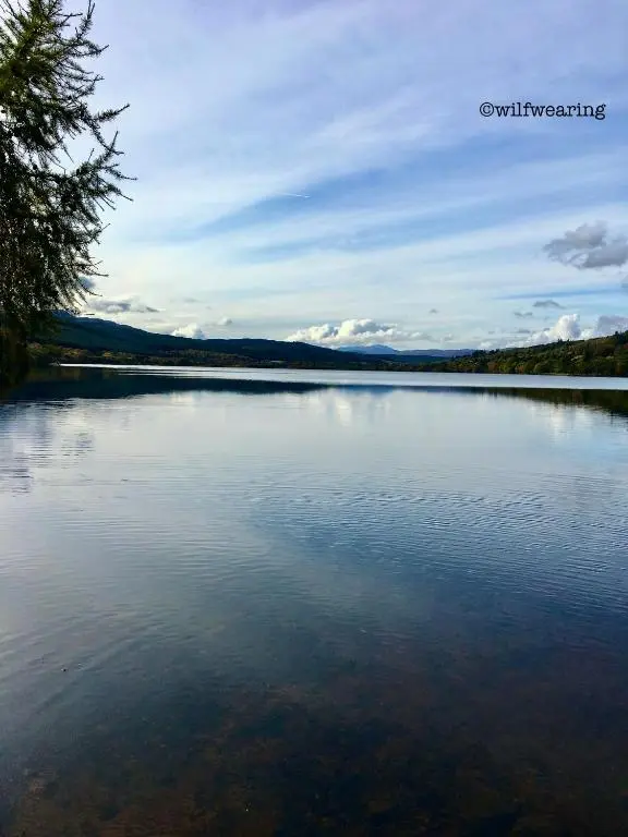 a view of a large body of water at Forest View - Adults Only - Maximum 2 Guests in Drumnadrochit