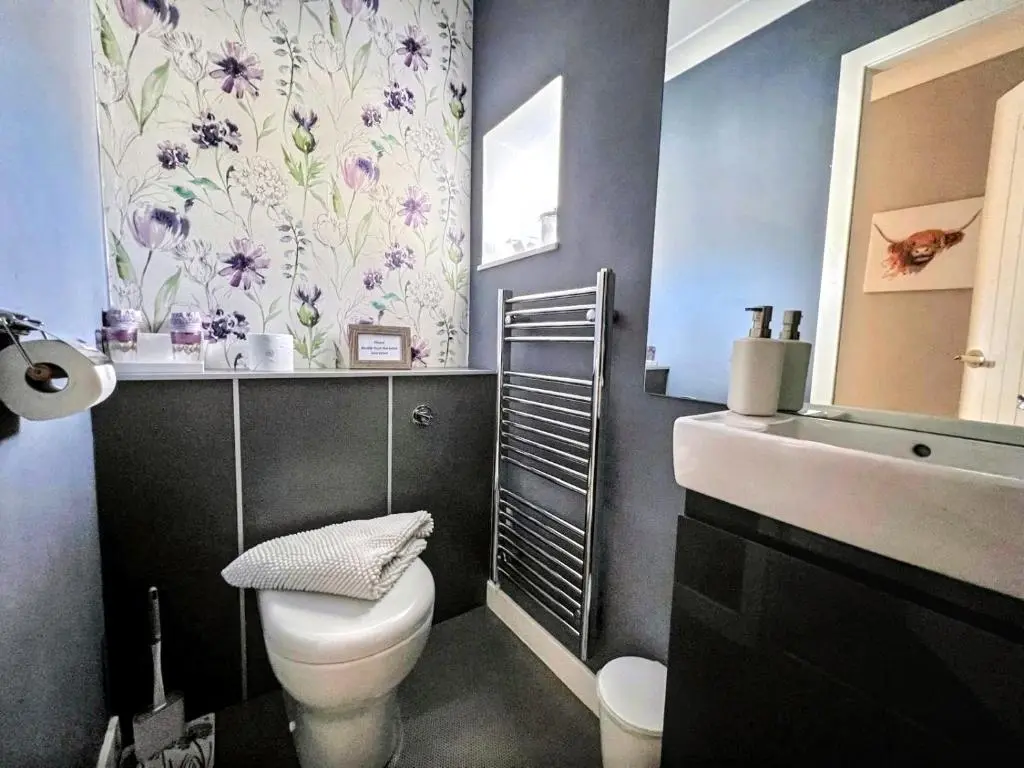 a bathroom with a toilet and a sink at Thistle Apartment Golspie in Golspie