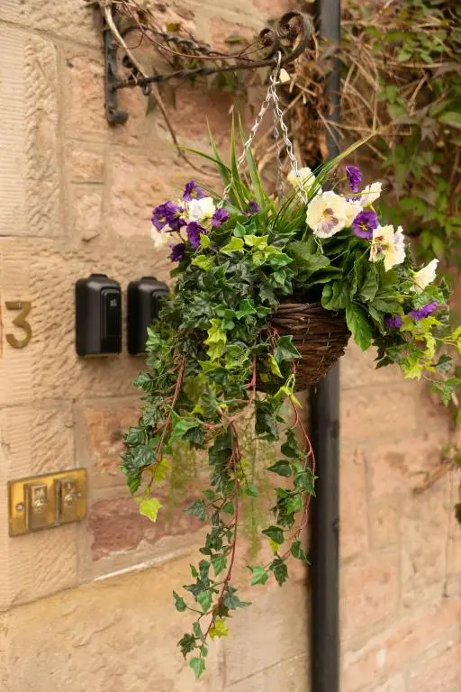 a basket of flowers hanging on a wall at Easdale House Apartments in Inverness