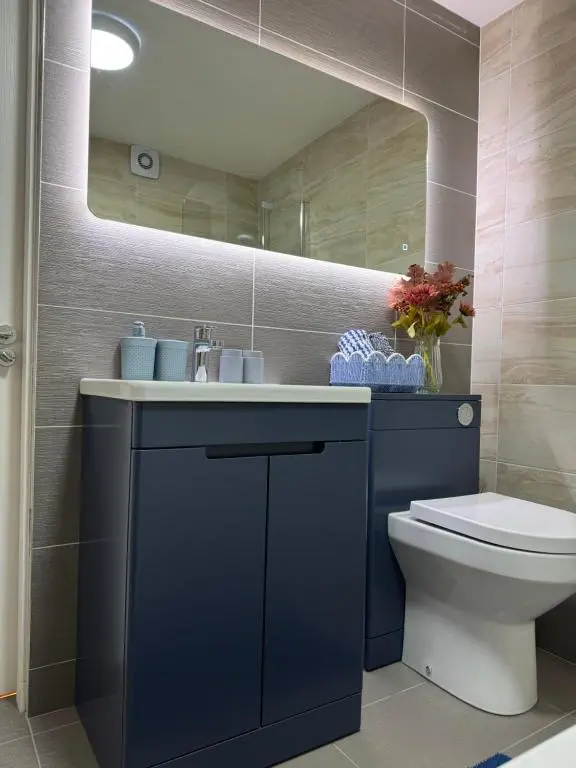 a bathroom with a blue sink and a toilet at The Milton Accommodation in Elgin