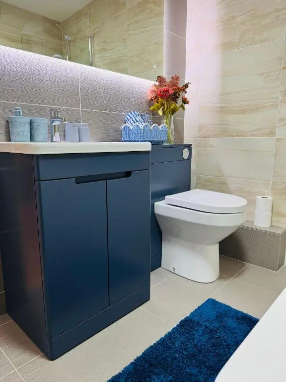 a bathroom with a blue sink and a toilet at The Milton Accommodation in Elgin