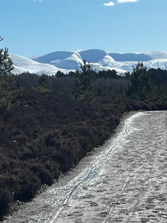 a snow covered mountain with trees and a river at Poppy Lodge in Boat of Garten