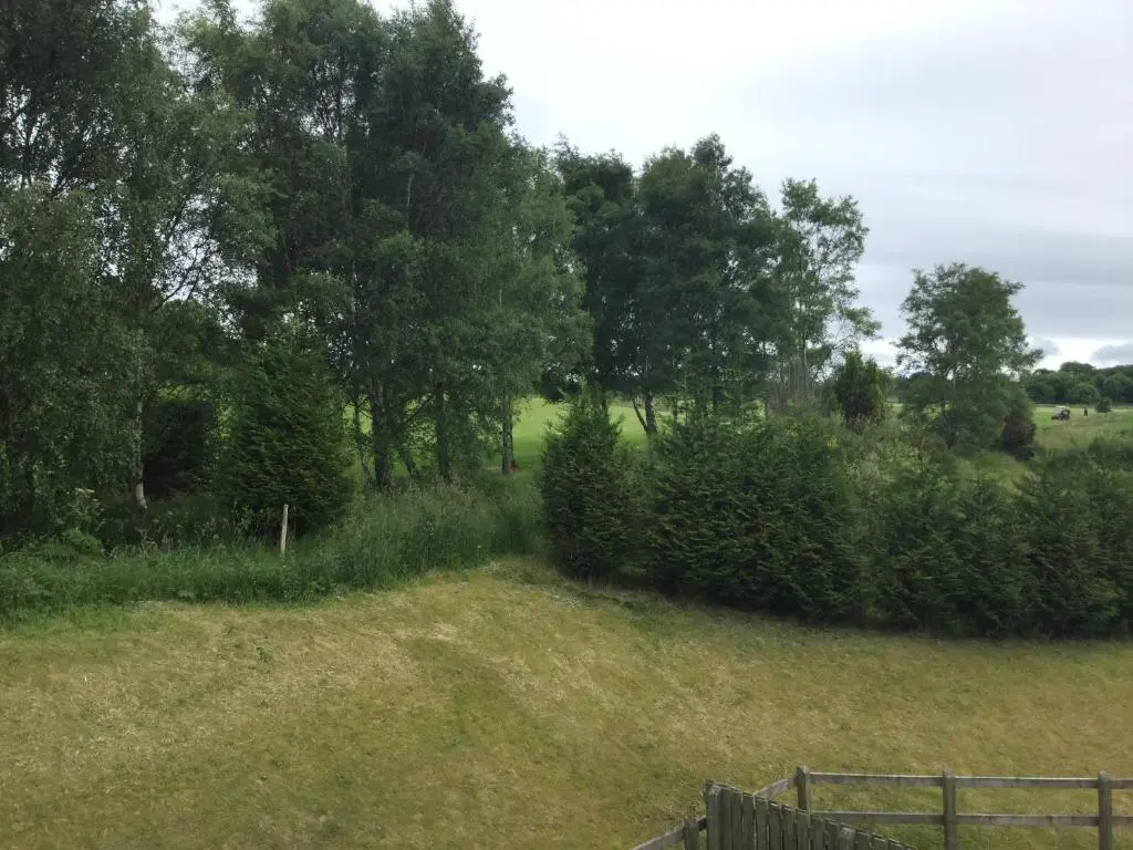 a field with trees and grass and a fence at Castlefield Apartment Free Parking in Inverness