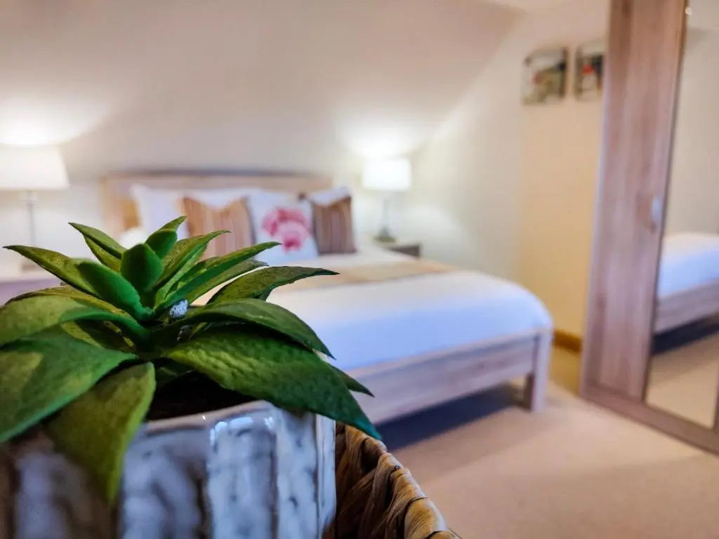 a bedroom with a bed and a potted plant at Cullen 117 Seatown With Sea Views in Cullen