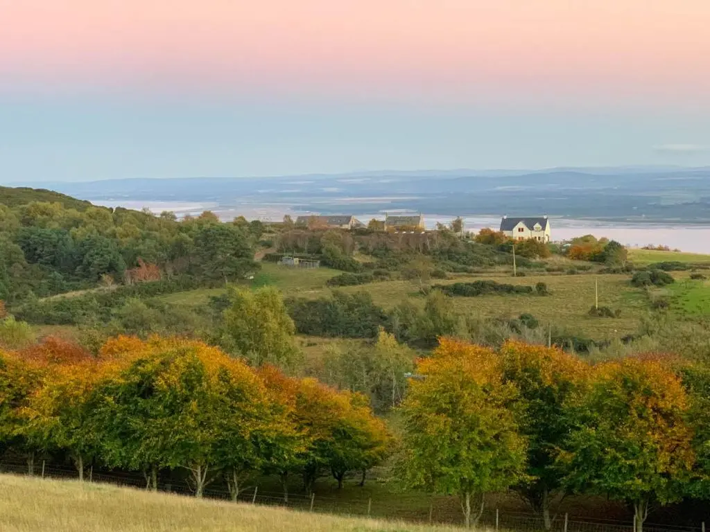 a farm in the middle of a field with trees at Dolphin View Hillockhead in Rosemarkie