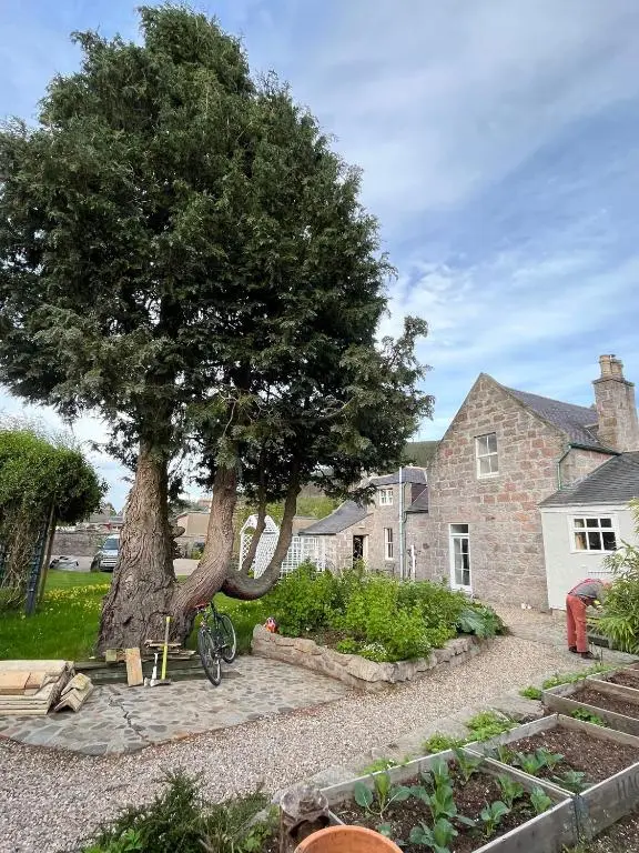 a bike parked next to a tree in front of a house at Schoolhouse in Ballater