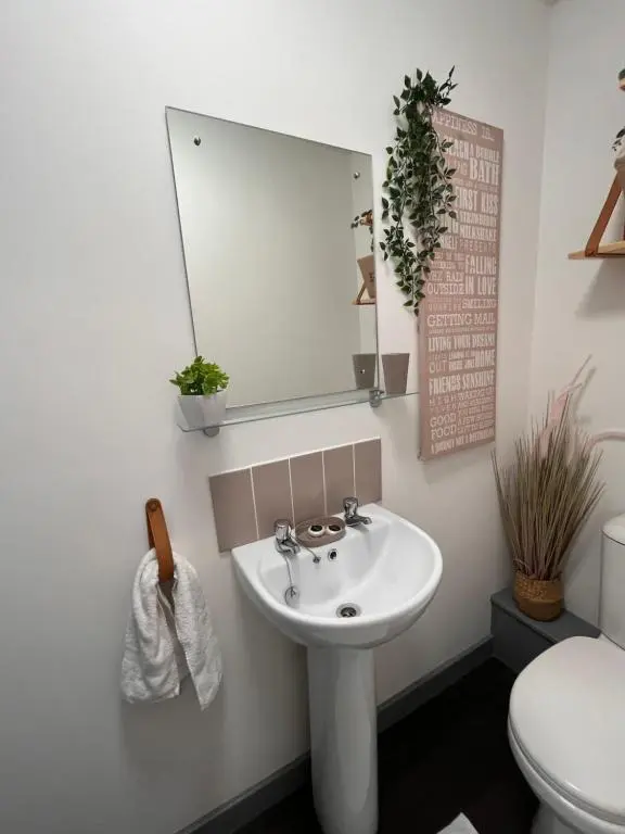 a bathroom with a sink and a mirror and a toilet at The Sheriffs Lodge in Dingwall