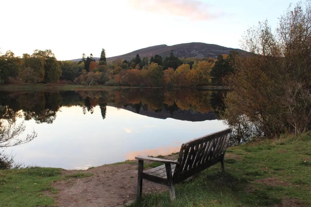a park bench sitting in front of a lake at Lagganlia Lodges and Camping Pods in Kincraig