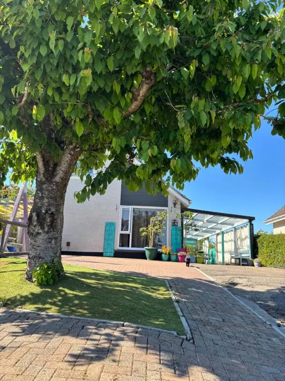 a tree in front of a building with a building at No.9 in Inverness