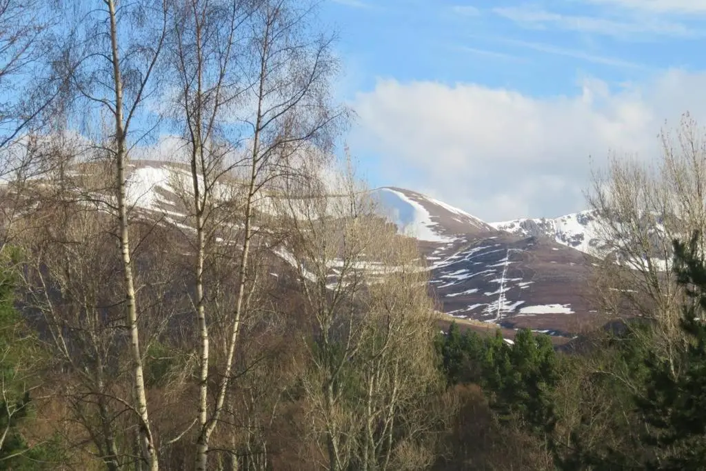 a snow covered mountain in the distance with trees at Pine Marten Bar Glenmore Pods in Aviemore