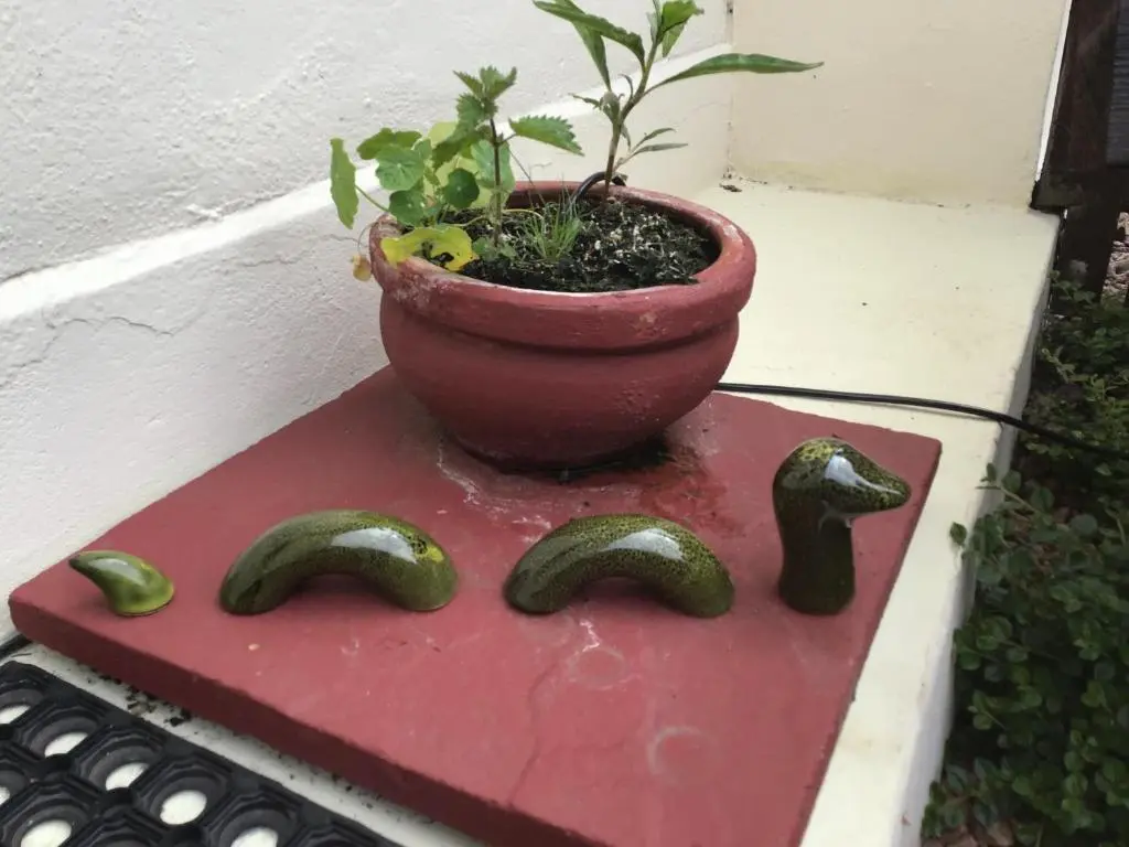a potted plant in a pot on a red stand at Alba b & b in Inverness
