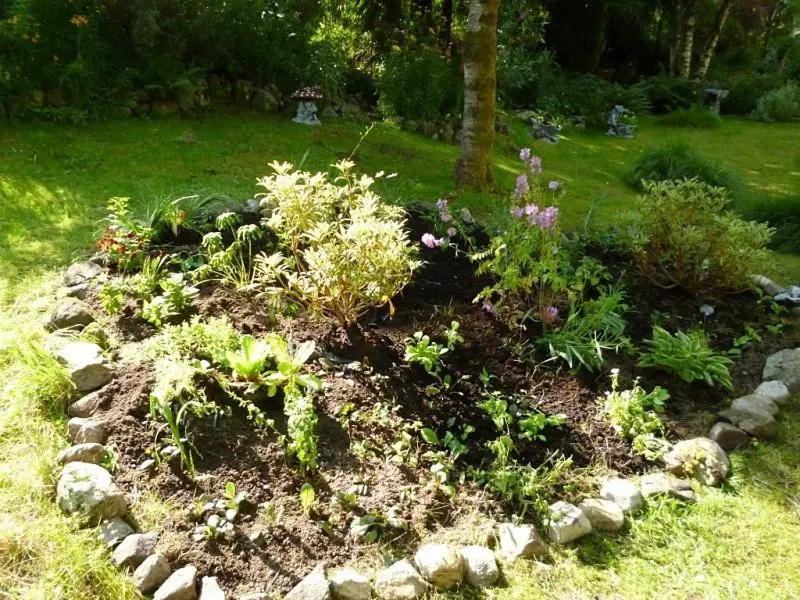 a garden with flowers and plants in a yard at Kettle House B&B in Fort Augustus