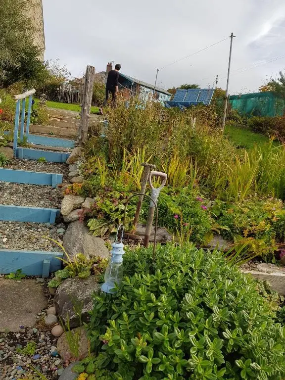 a garden with blue steps and plants and flowers at Driftwood Cottage, Portsoy in Banff