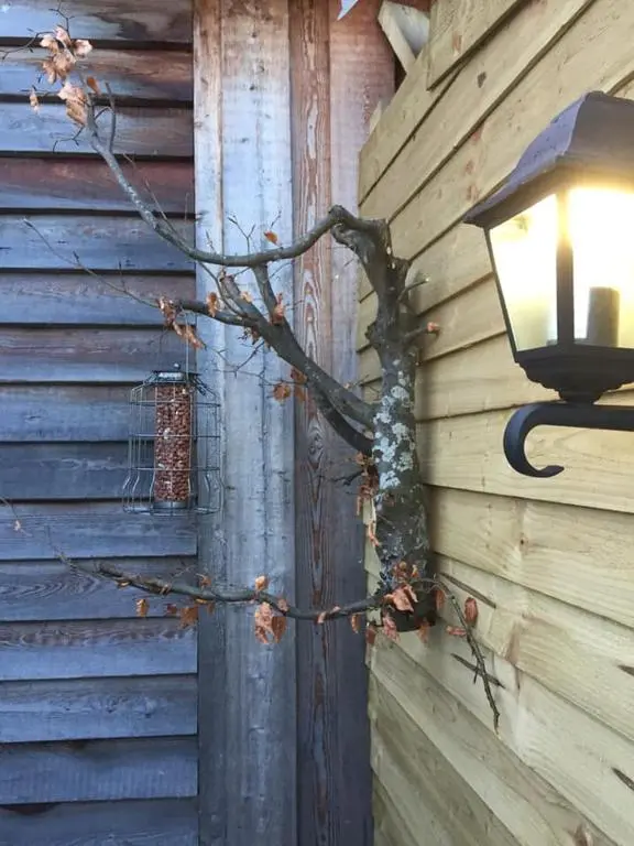 a light on the side of a building with a tree branch at The Barn | Aberlour in Aberlour