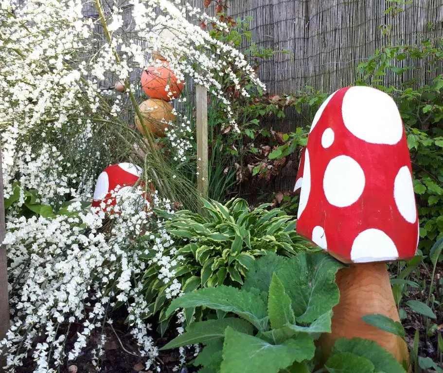 a garden with red and white mushrooms in a garden at Lycia Rooms + in Inverness