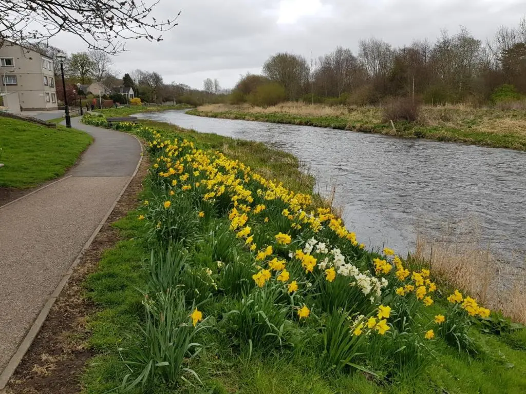 a row of flowers next to a river at The Smiddy Suite in Ellon