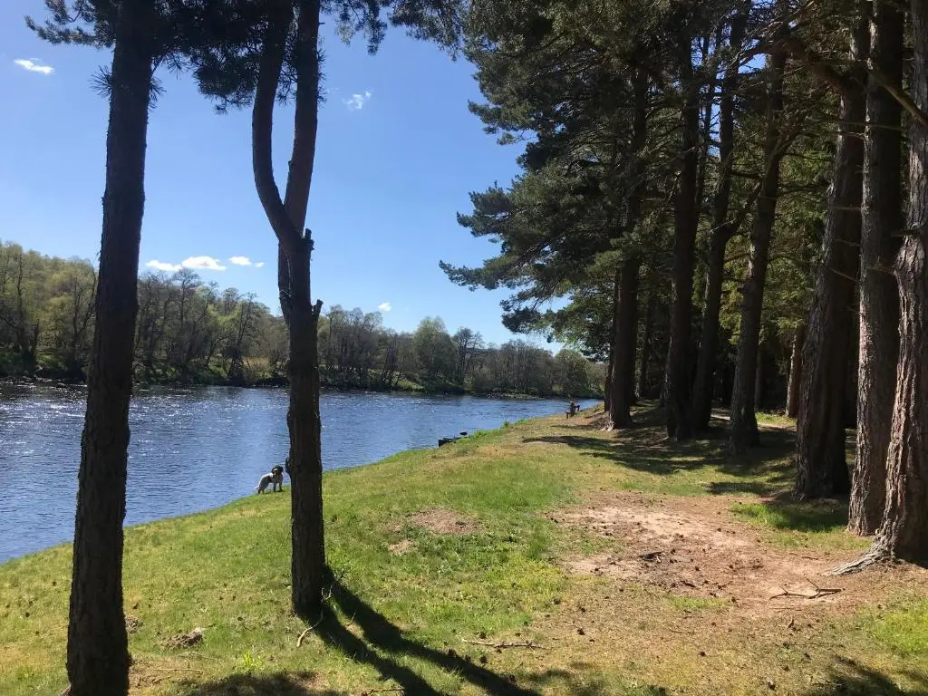 a view of a river through the trees at Courtyard Bothy in Grantown on Spey