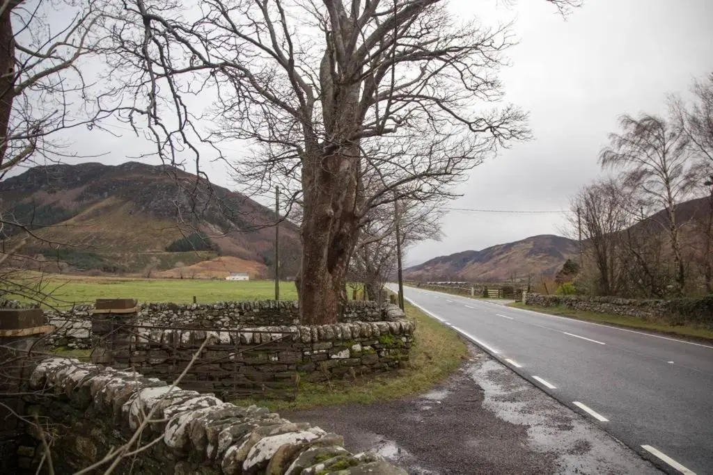 a tree and a stone wall next to a road at Inverlael Farm Cottages in Inverlael