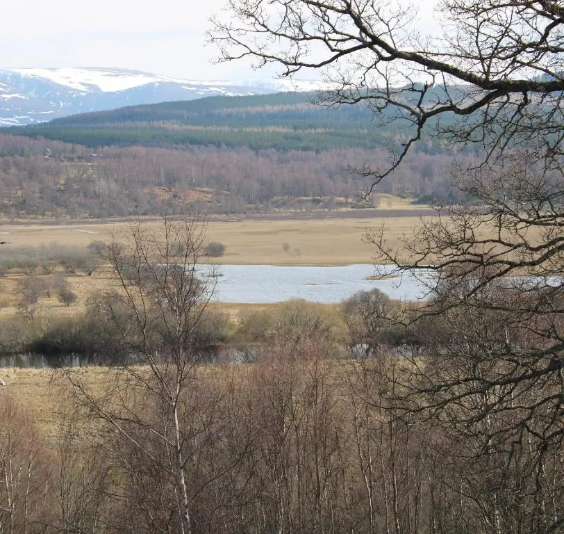 a view of a lake in a field with trees at Skye Cottage, Meadowside House, near Kingussie in Kingussie