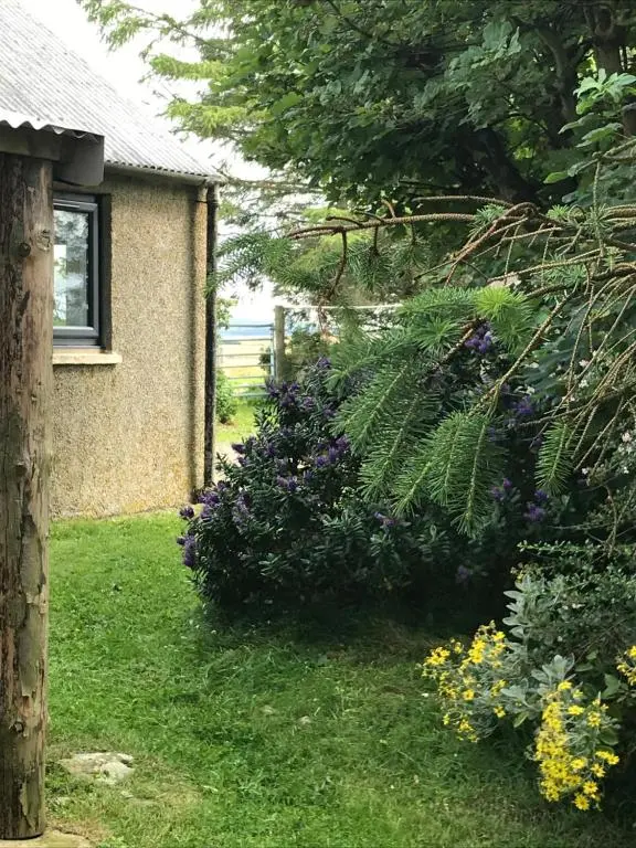 a garden with purple flowers next to a house at Crossgates, Rosehearty in Rosehearty
