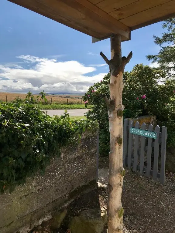 a tree with a sign on it next to a fence at Crossgates, Rosehearty in Rosehearty