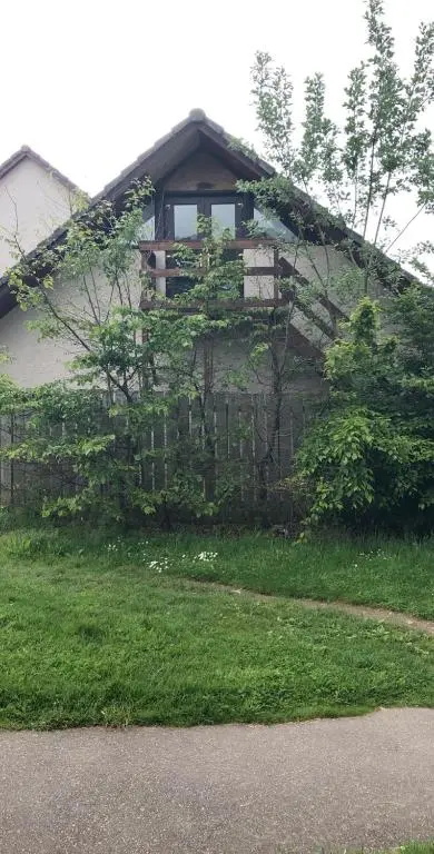 a house with vines growing on the side of it at The Tree House in Inverness
