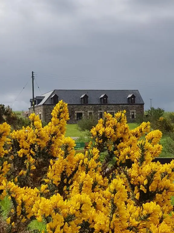 a field of yellow flowers in front of a building at Heathfield Highland Estate in Invergordon