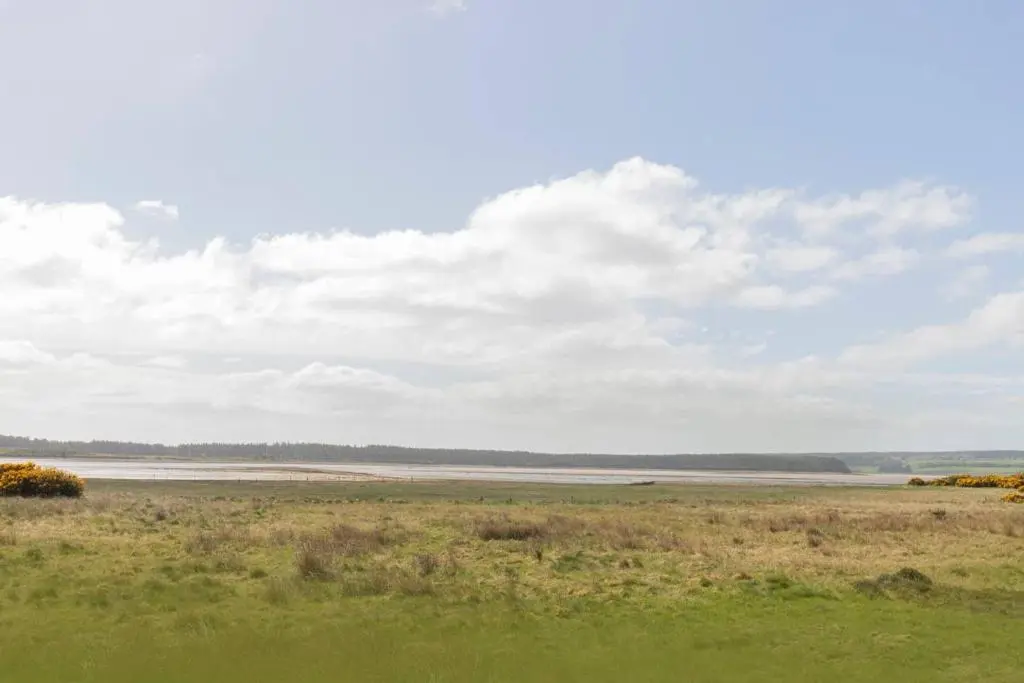 a field of grass with a large body of water at Birdwatcher's Cabin in Golspie