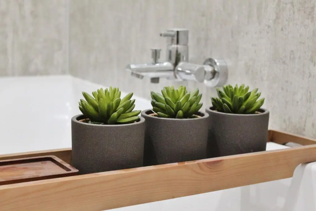 three potted plants sitting on a shelf in a bathroom at The Bell Tower in Inverness