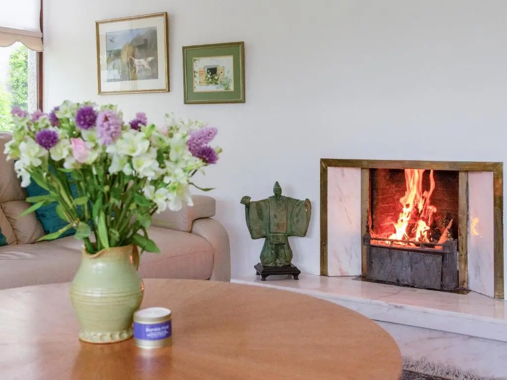 a vase of flowers on a table in front of a fireplace at Middle Lodge in Mintlaw