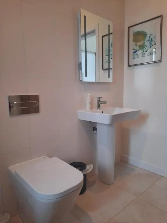 a bathroom with a white toilet and a sink at Carnmore Cottage in Inverness