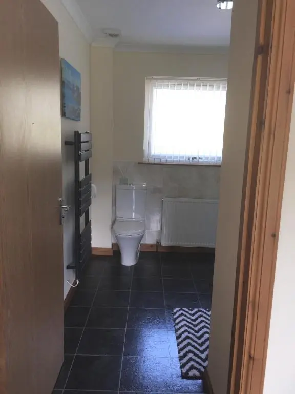 a bathroom with a toilet and a window at The Willows in Dalchreichart