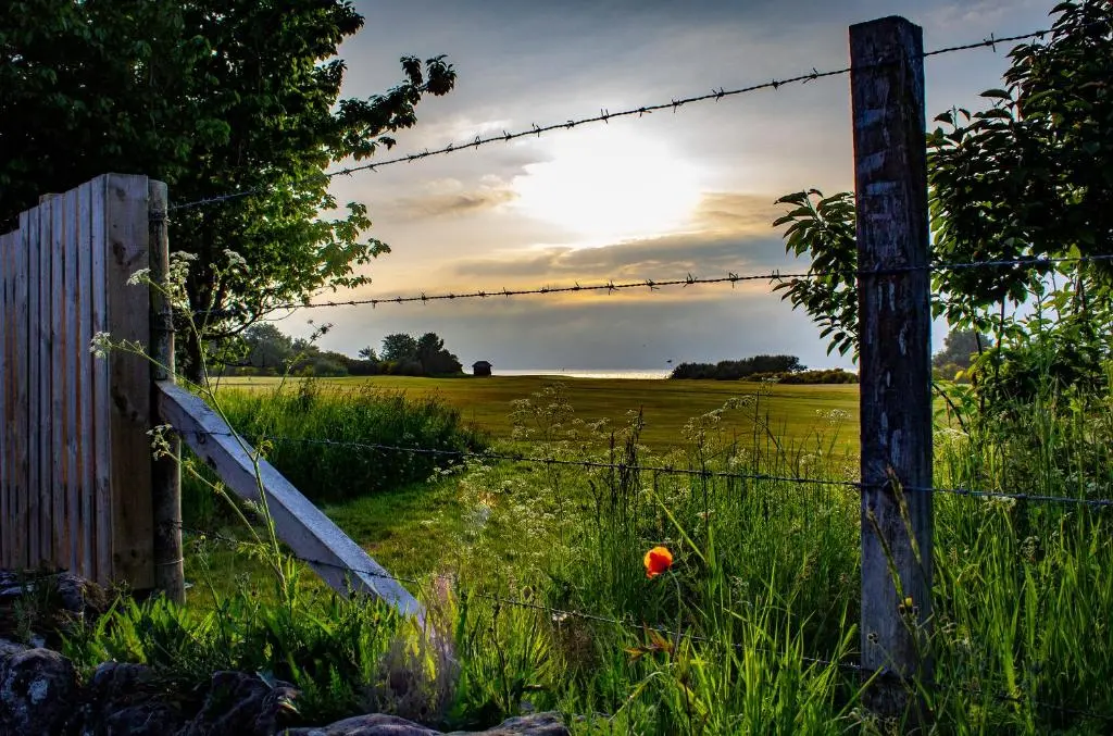a barbed wire fence in a field with an orange ball in the grass at Fishertown House in Nairn