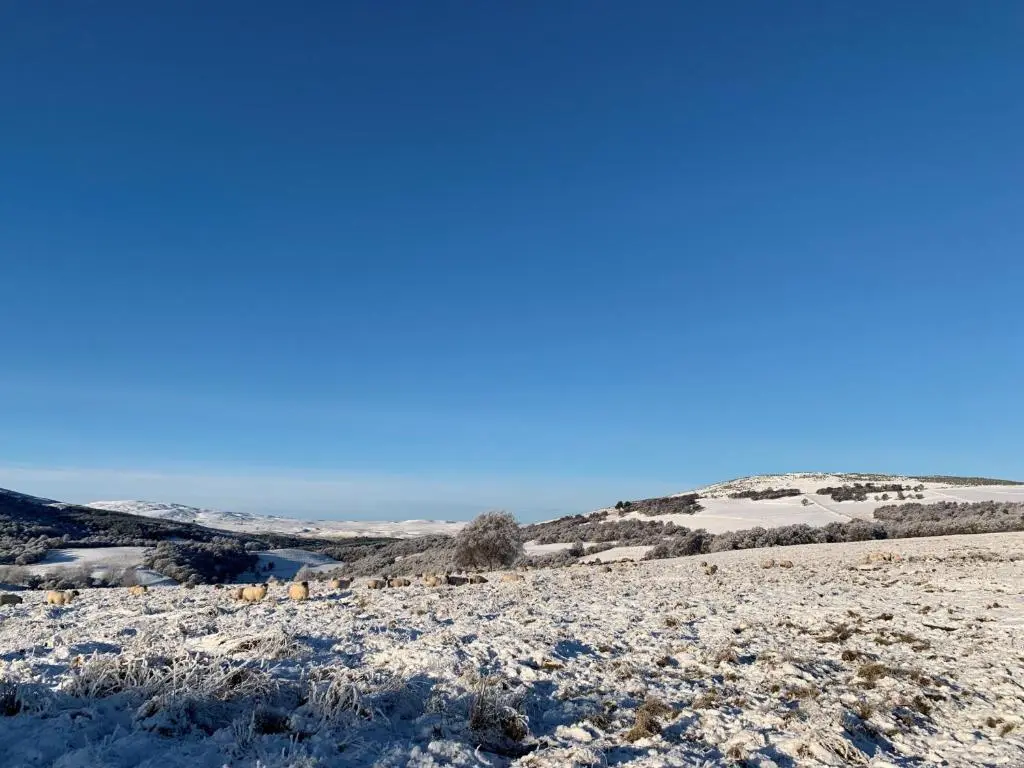 a snow covered hill with trees in the distance at West Gorton in Grantown on Spey