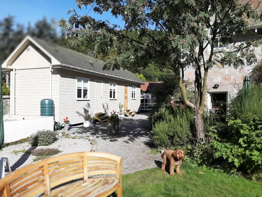 a dog standing in a yard next to a house at The Cabin at No 45 in Ballater