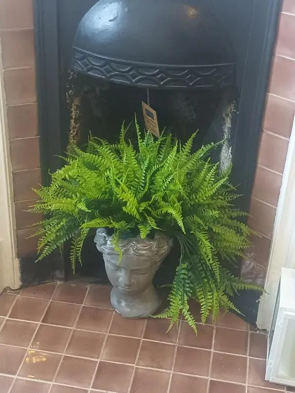 a potted plant sitting in front of a fireplace at The Granary in The Square in Grantown on Spey