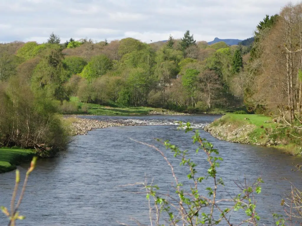 a river in the middle of a forest at Apartment 20 Inchmarlo in Banchory