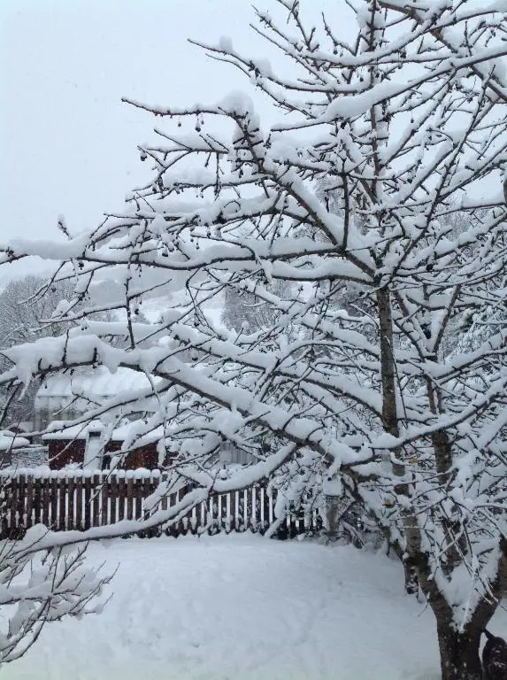 a tree covered in snow next to a fence at The Wee Thistle Loch Ness in Drumnadrochit