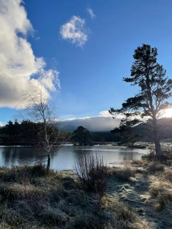 a view of a lake with two trees in the foreground at The Balavoulin - Pub with Rooms in Aviemore